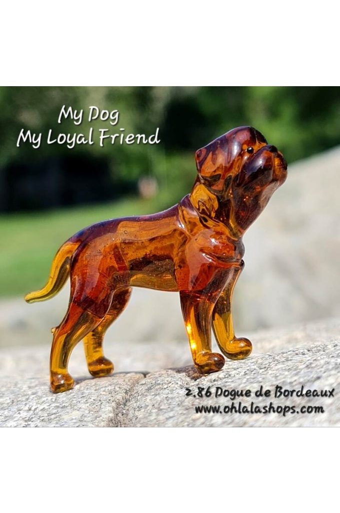 2.86_Dogue de Bordeaux.jpg